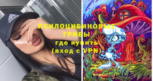 МДПВ Медногорск