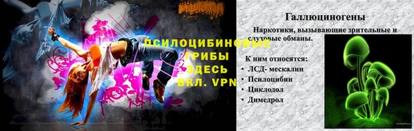мяу мяу мука Магадан
