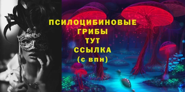 МДПВ Медногорск